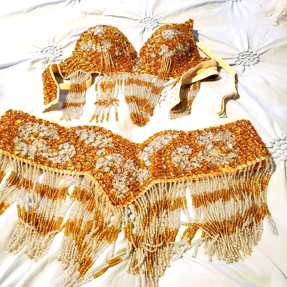 Belly dancer costume